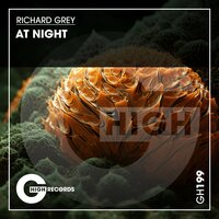 ТОП Чарт песни At Night - Richard Grey