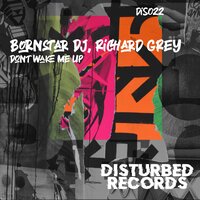 ТОП Чарт песни Dont Wake Me Up - Bornstar DJ & Richard Grey