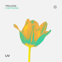 Trilucid